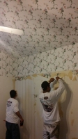 photo-gallery/top-star-painting-fb-gallery-41_t.jpg